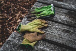 Trying Gardener Jobs in the USA
