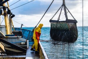 Trying Fisherman Jobs in Canada